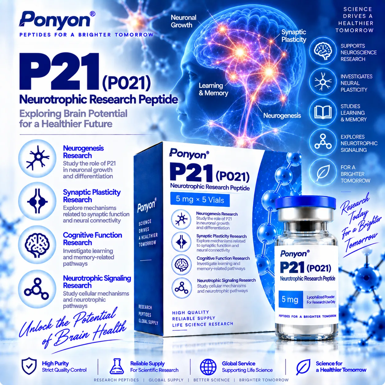 P21 / P021 Neurotrophic Research Peptide