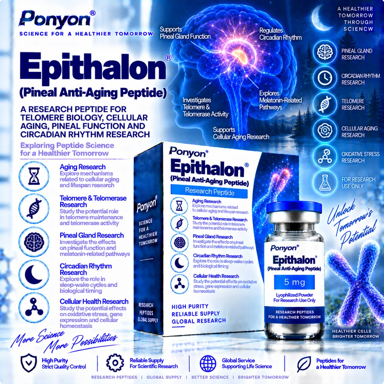 Epithalon / Epitalon (AEDG Peptide)