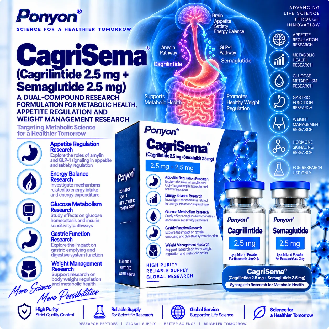 CagriSema (Cagrilintide 2.5 mg + Semaglutide 2.5 mg)