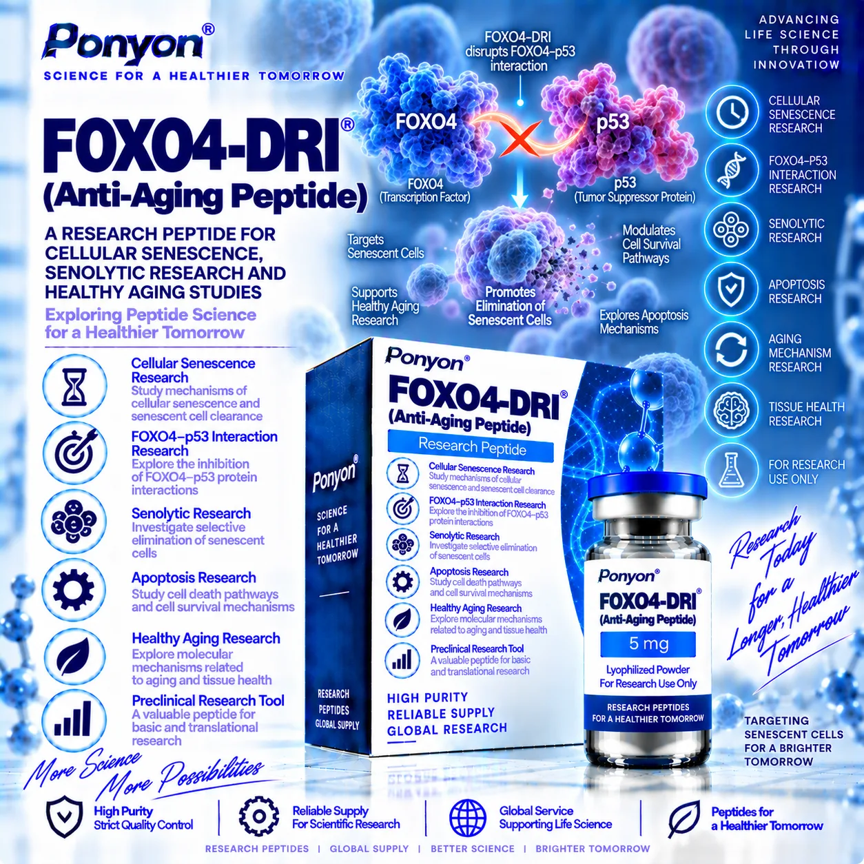 FOXO4-DRI (FOXO4 D-Retro-Inverso Peptide)