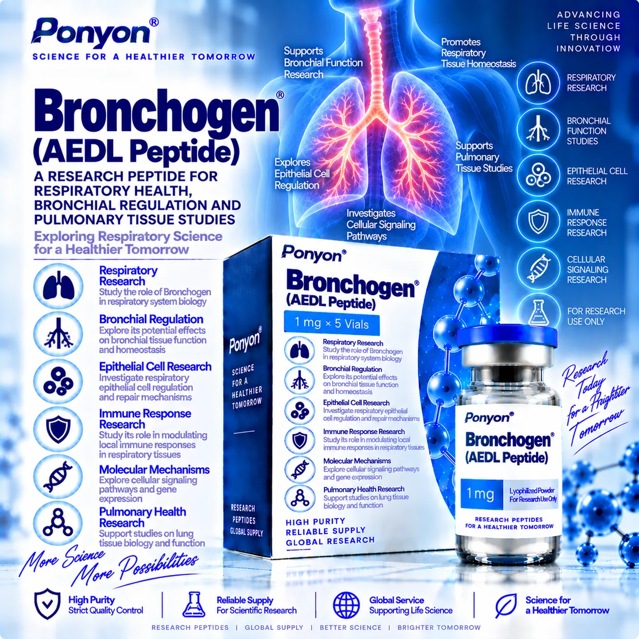 Bronchogen (AEDL Peptide)