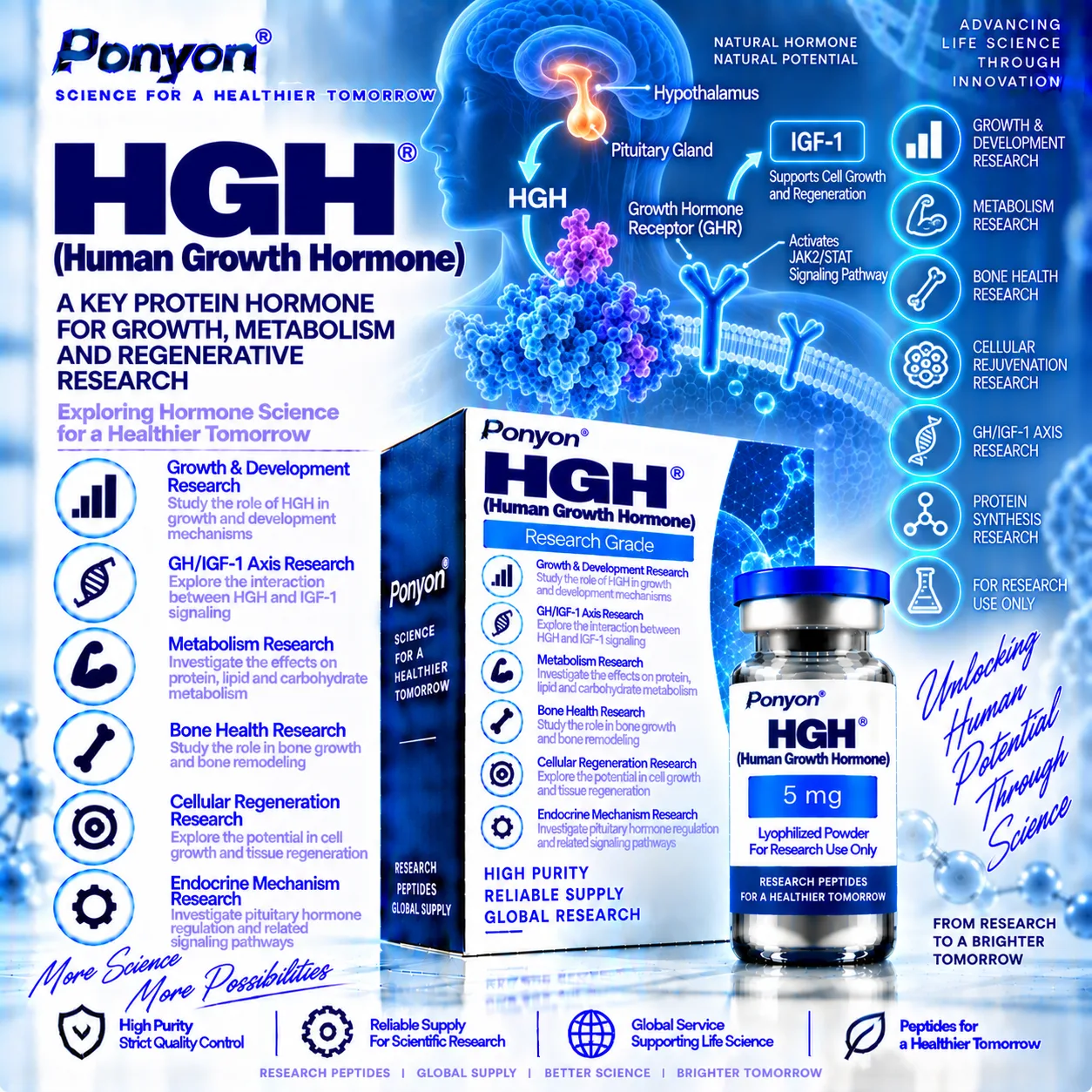 Human Growth Hormone (HGH / Somatropin)