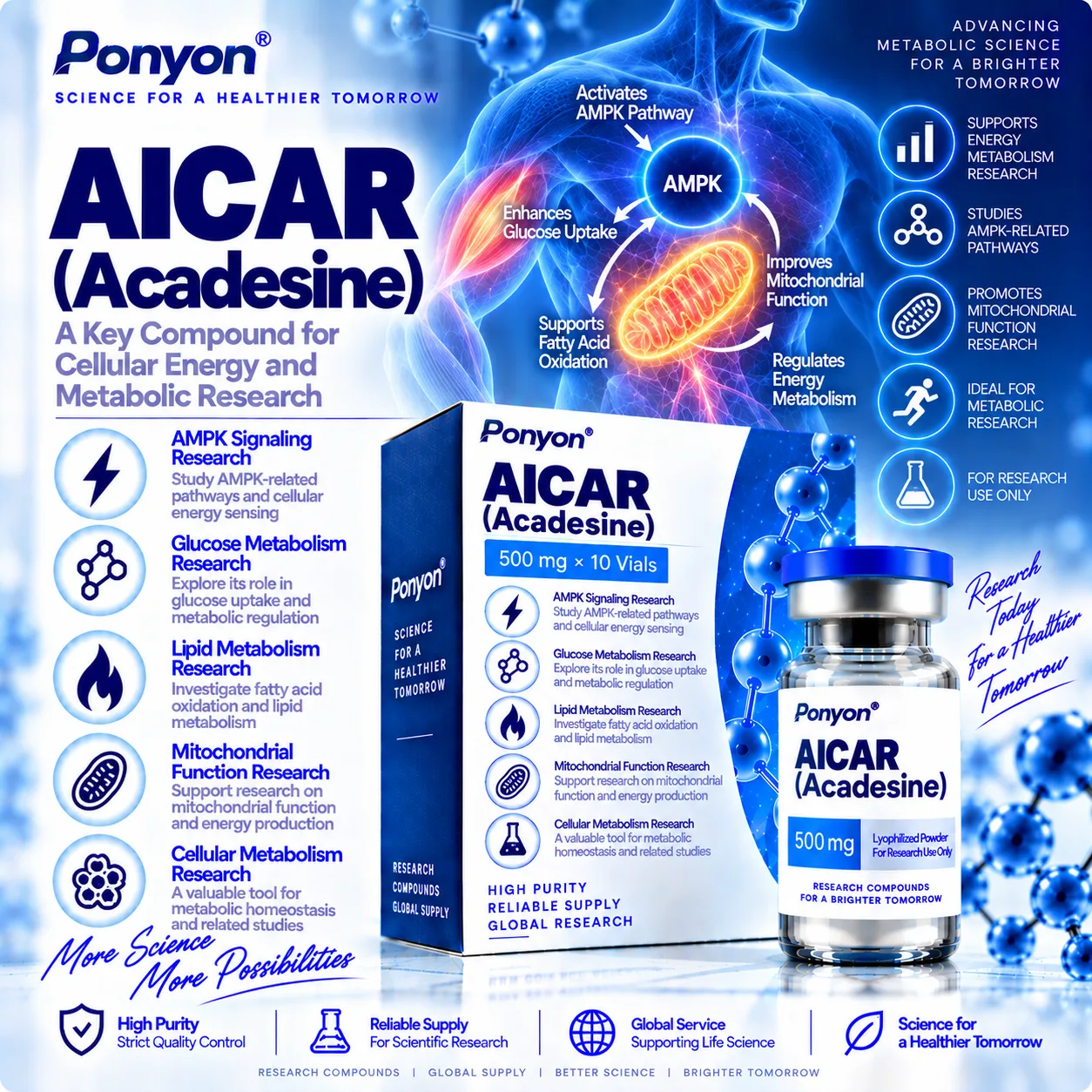 AICAR (Acadesine)