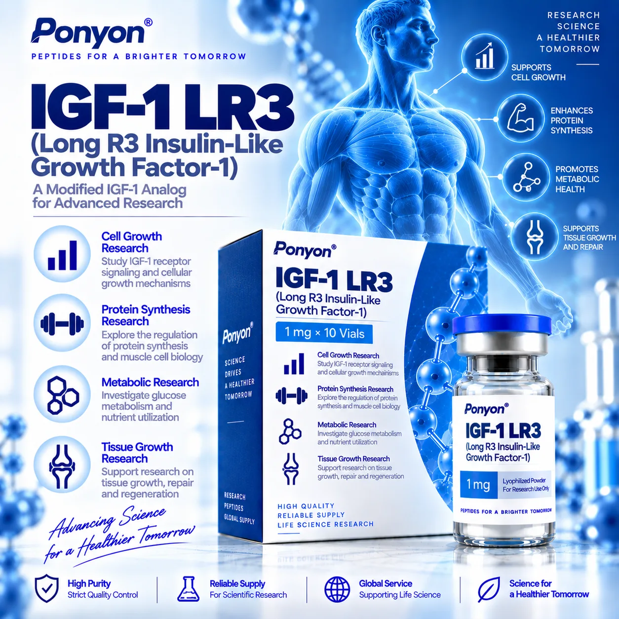 IGF-1 LR3 (Long R3 Insulin-Like Growth Factor-1)