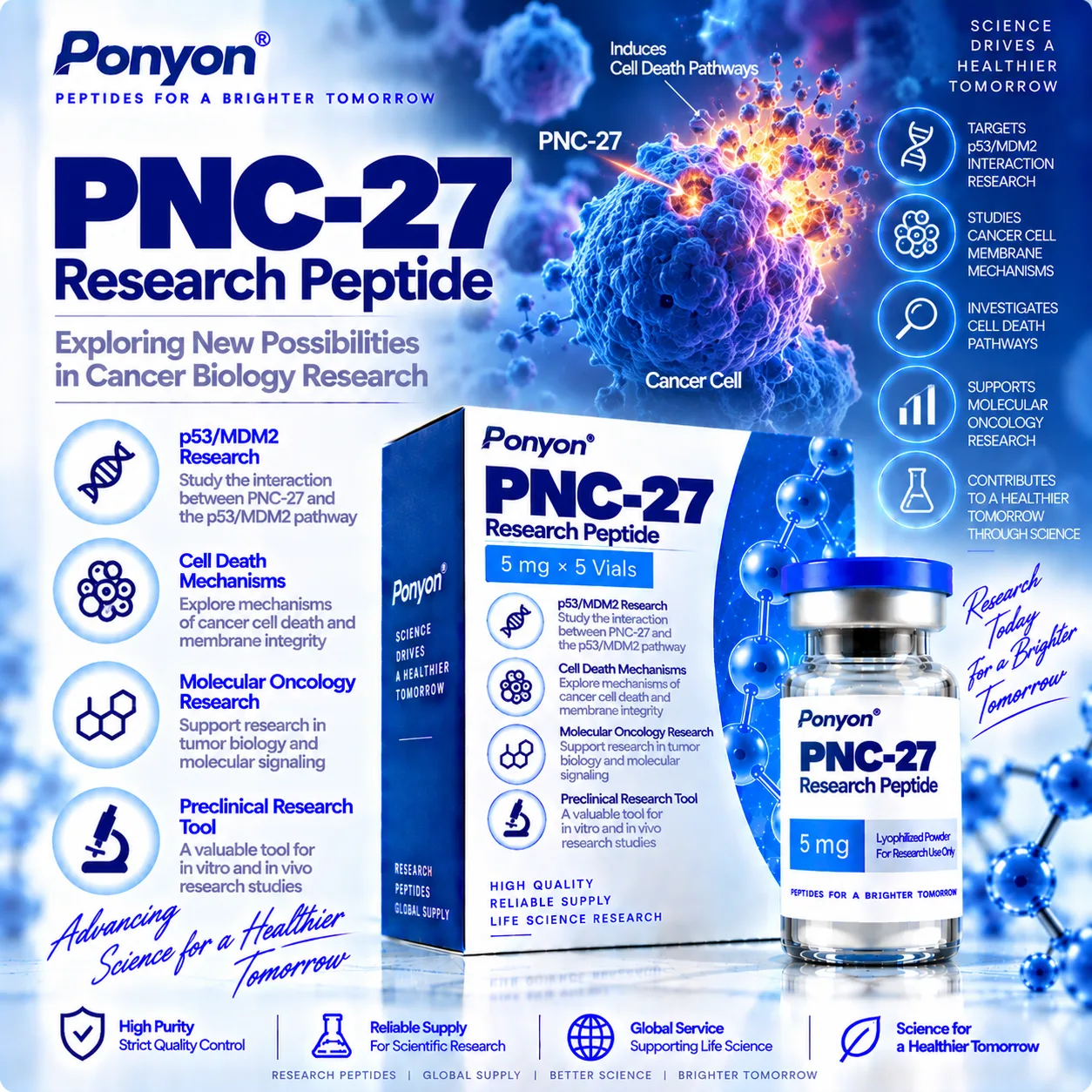  PNC-27 Research Peptide