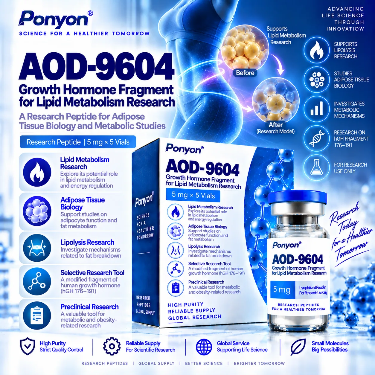 AOD-9604 (Modified Growth Hormone Fragment)