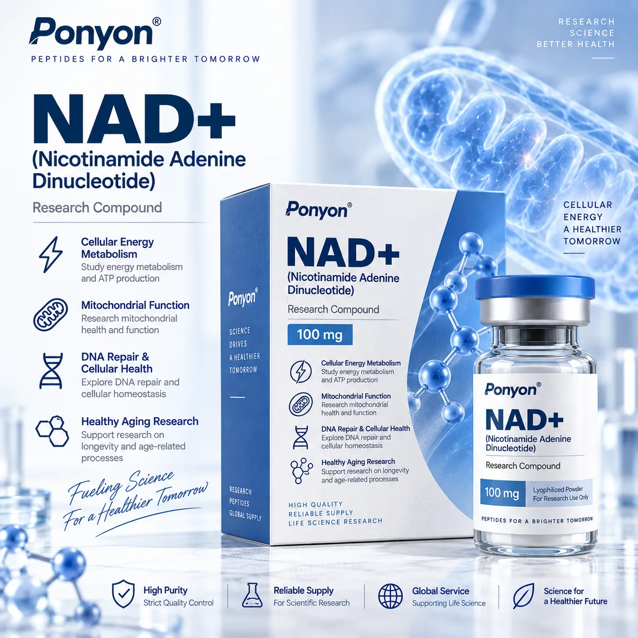 NAD+ (Nicotinamide Adenine Dinucleotide)