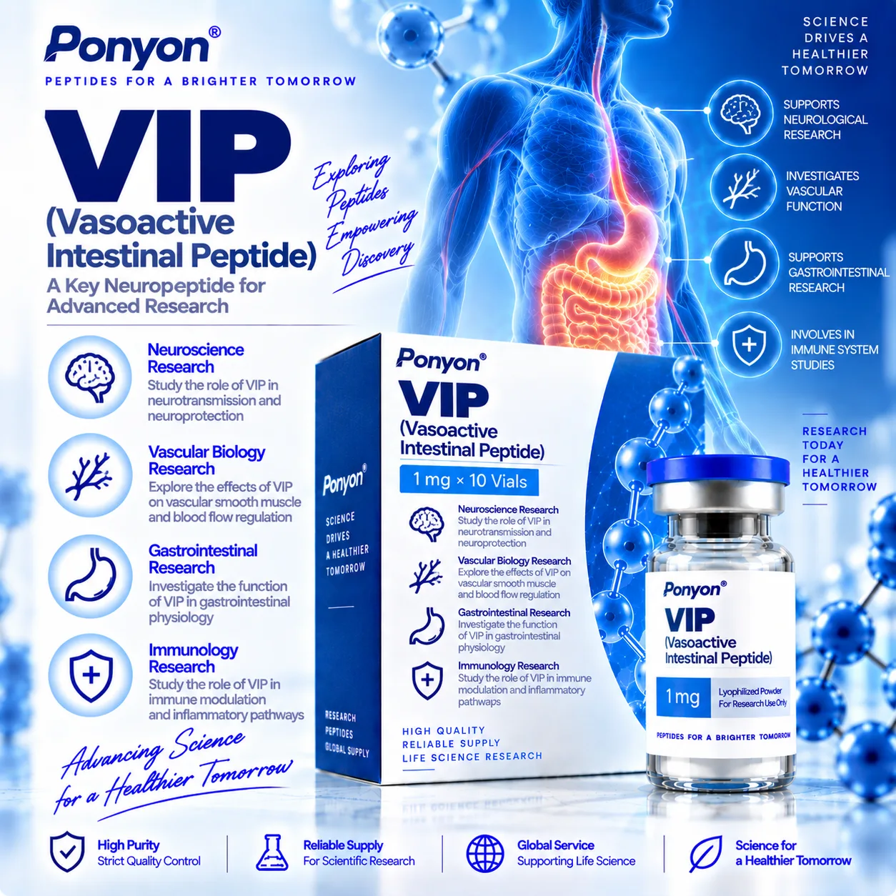 VIP (Vasoactive Intestinal Peptide)