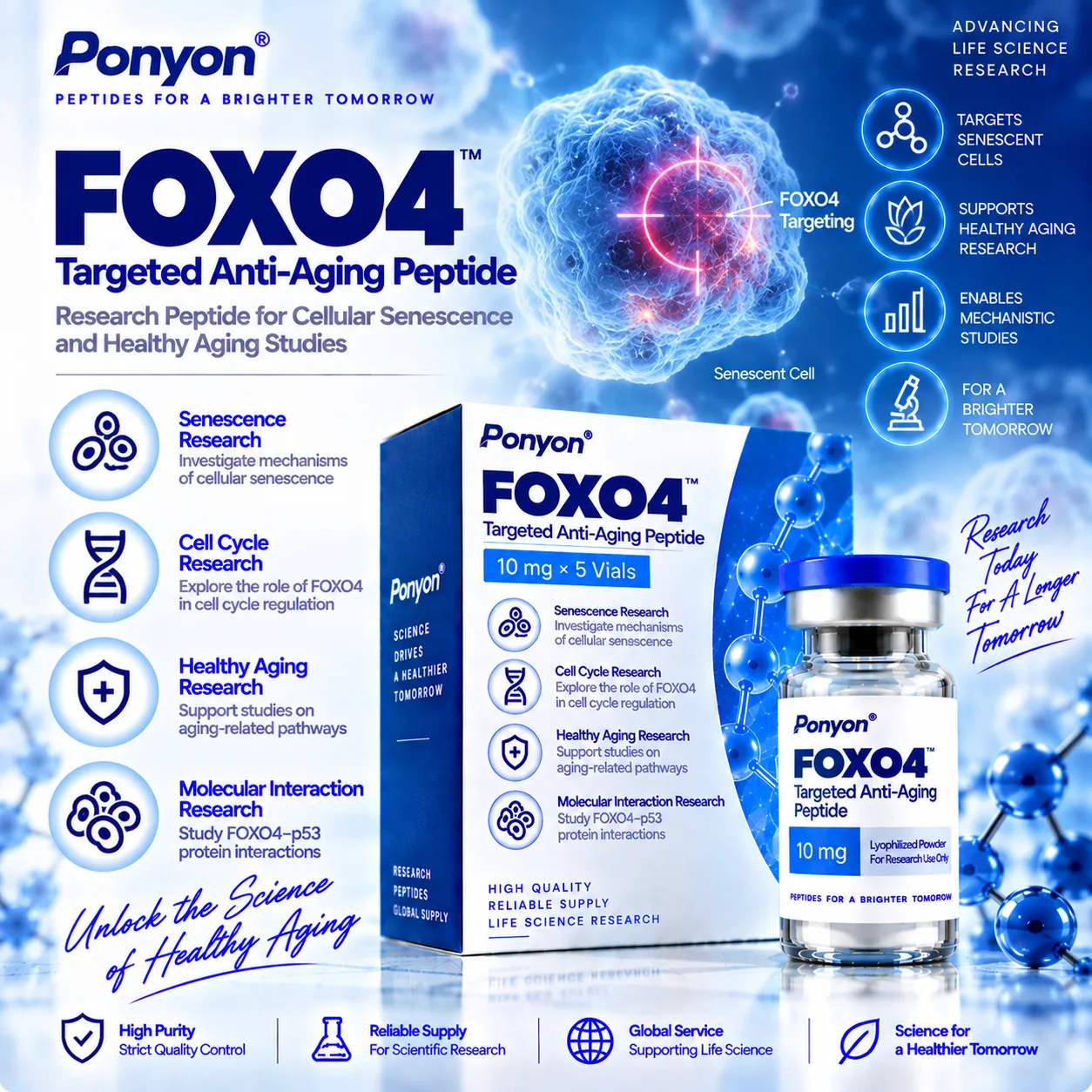 FOXO4 Research Peptide