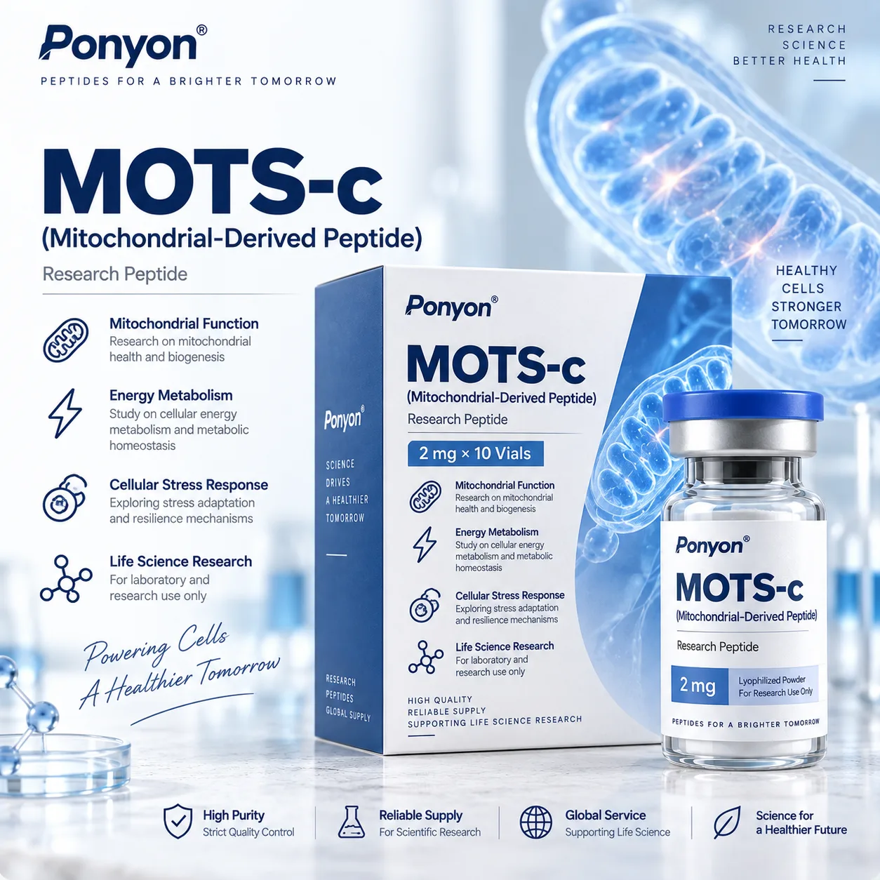 MOTS-c (Mitochondrial-Derived Peptide)