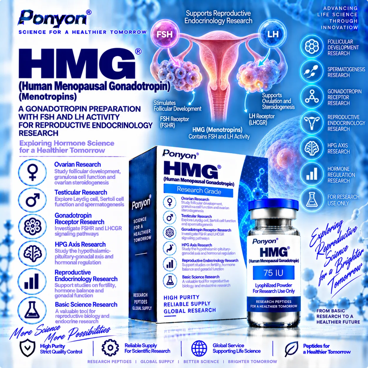 Human Menopausal Gonadotropin (HMG / Menotropins) 75IU×10 Vials