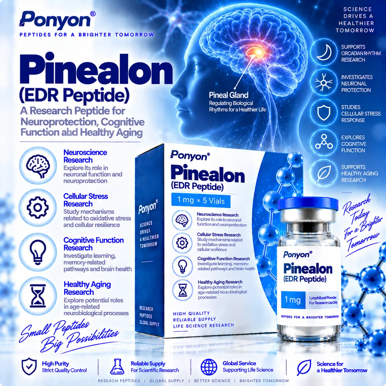  Pinealon (EDR Peptide)