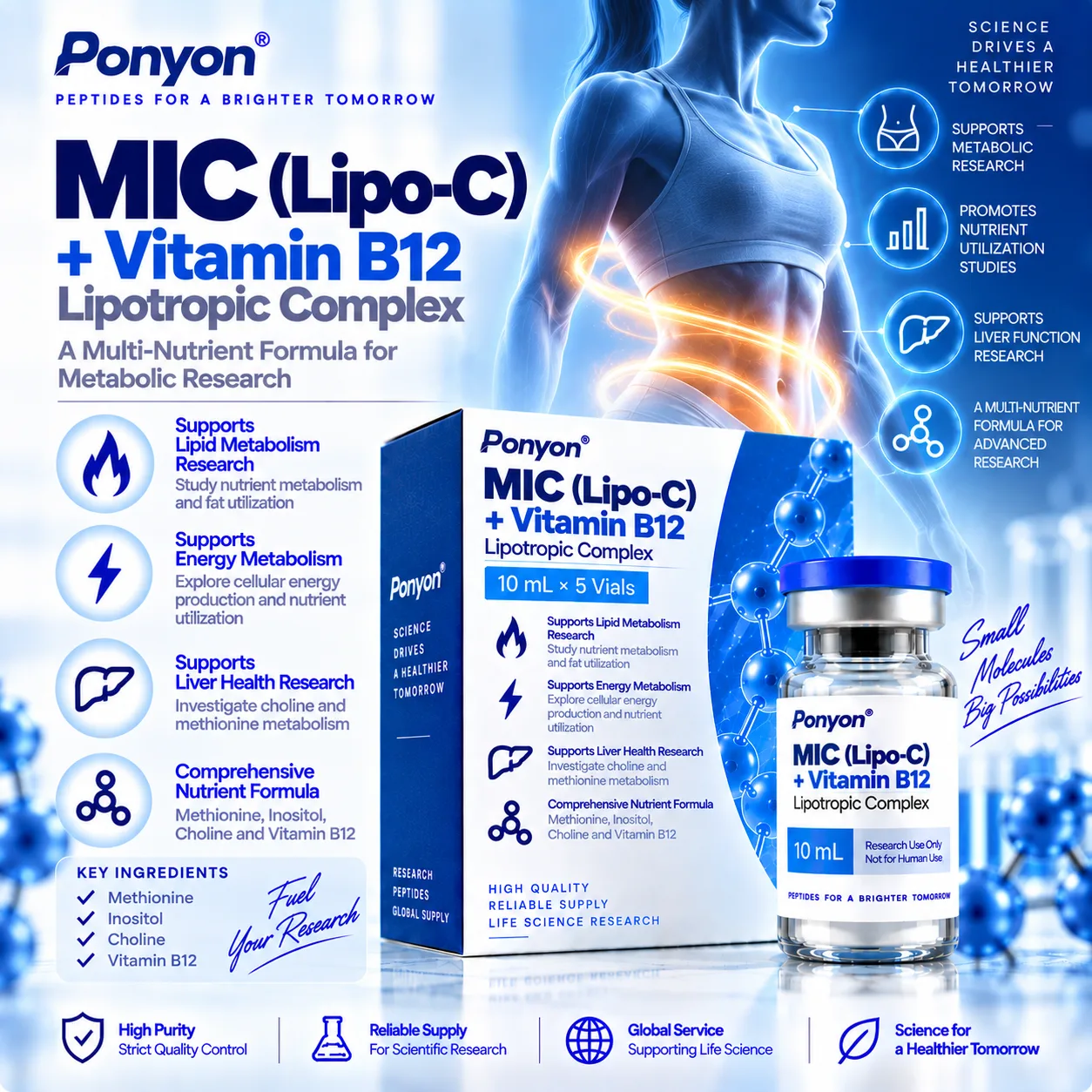 MIC + Vitamin B12 Lipotropic Complex 10mg×10vials
