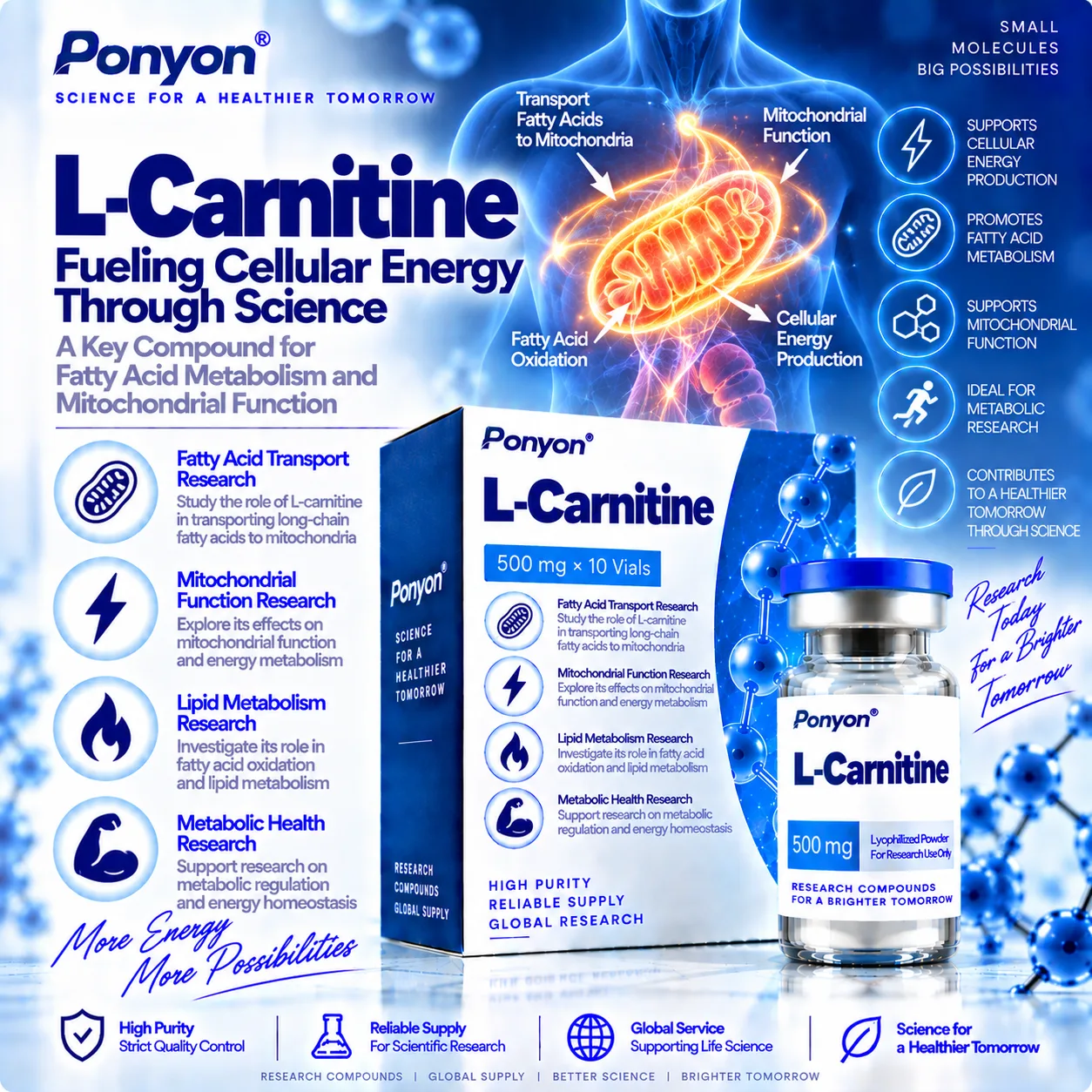 L-Carnitine