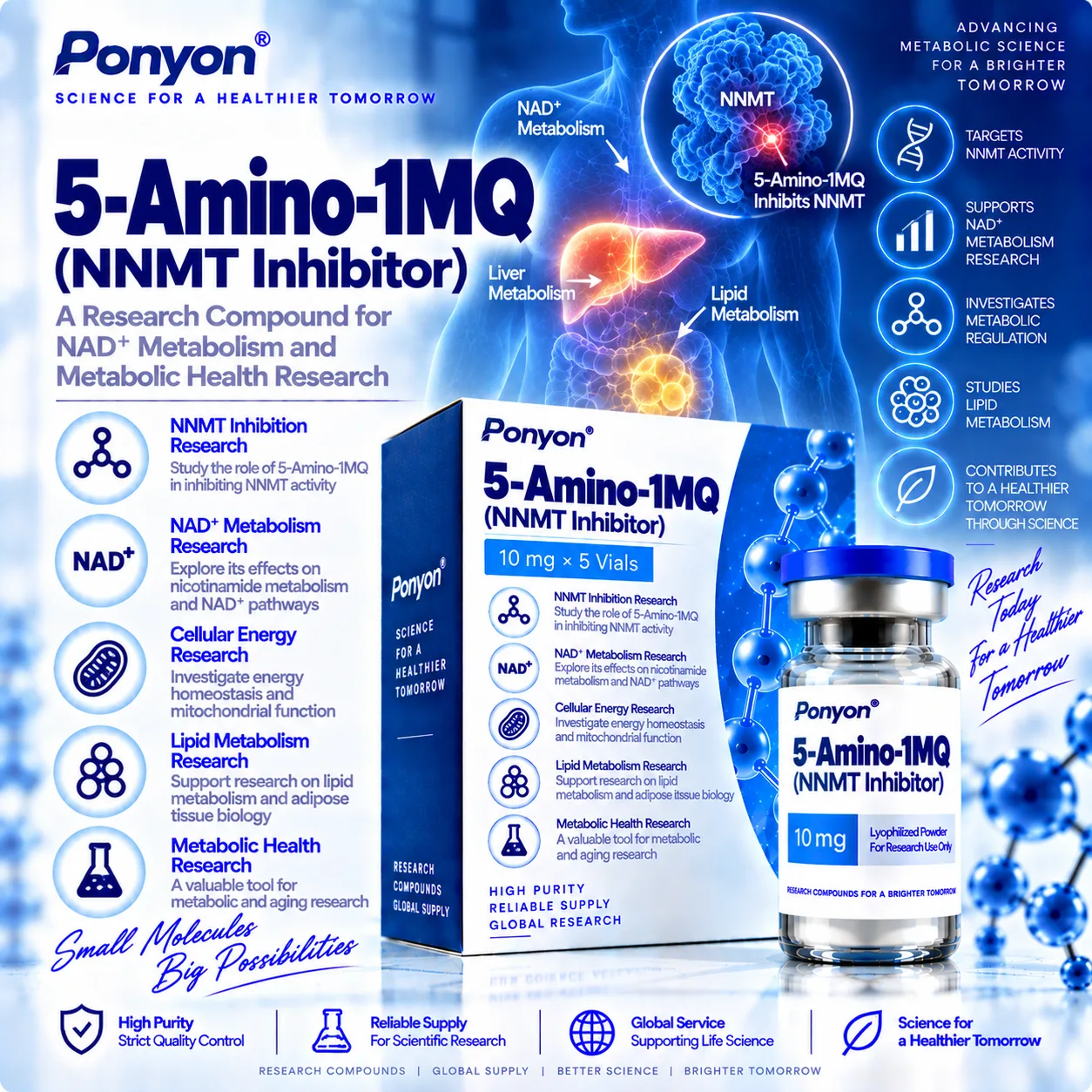 5-Amino-1MQ (NNMT Inhibitor)
